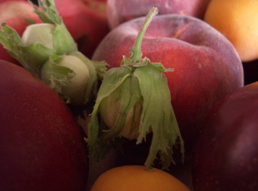 Pesche e noci