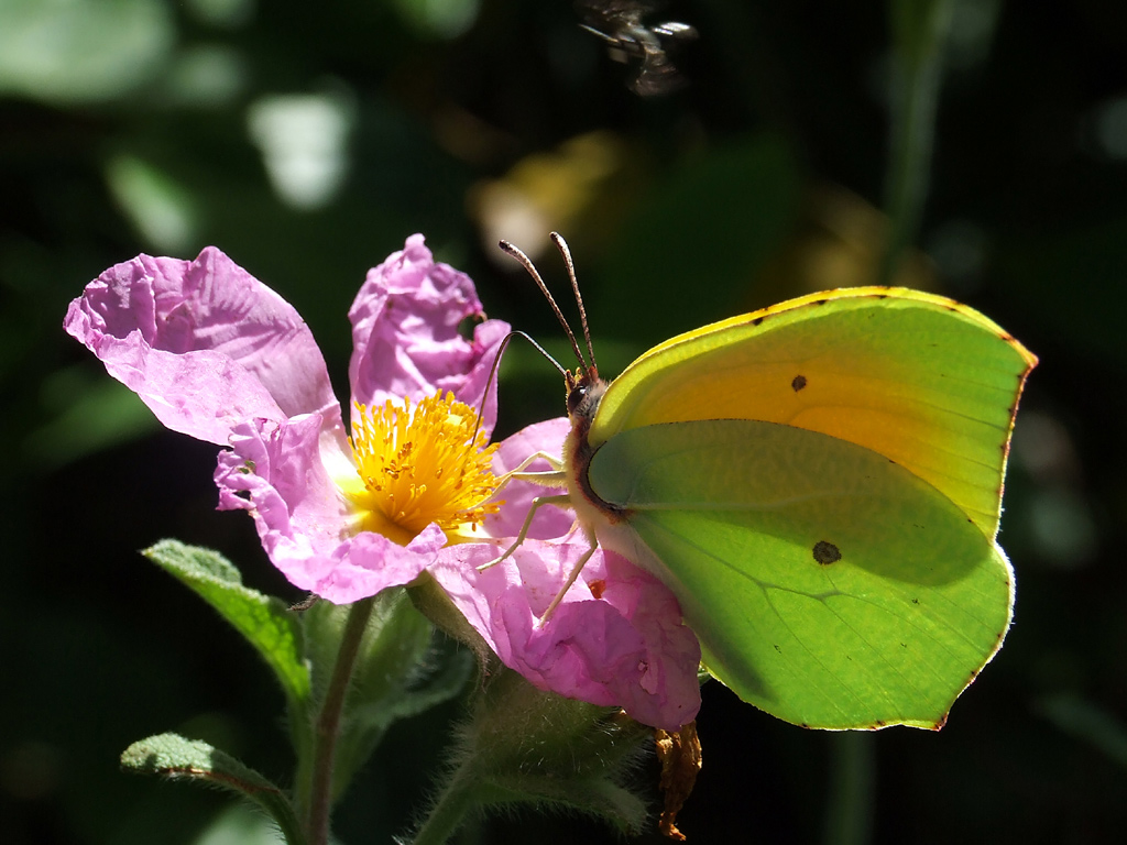 Aspetta il tuo turno!!