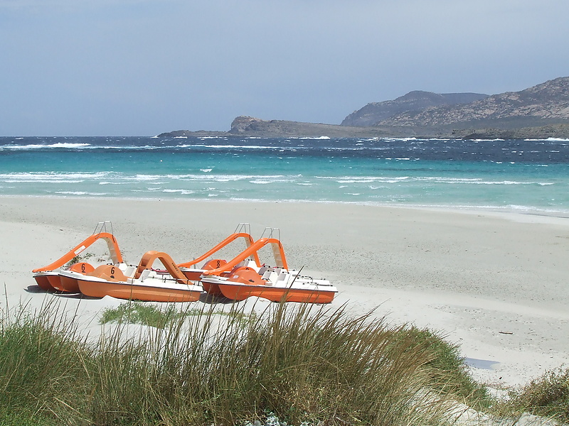 Stintino (SS): La Pelosa