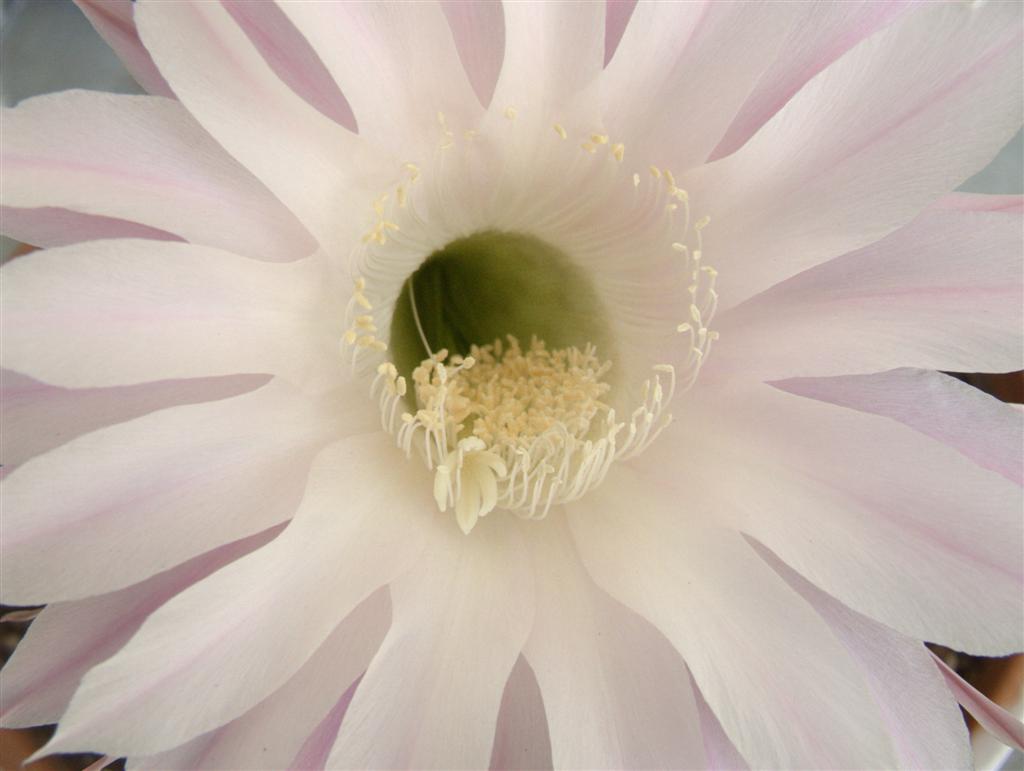 Un giorno e una notte