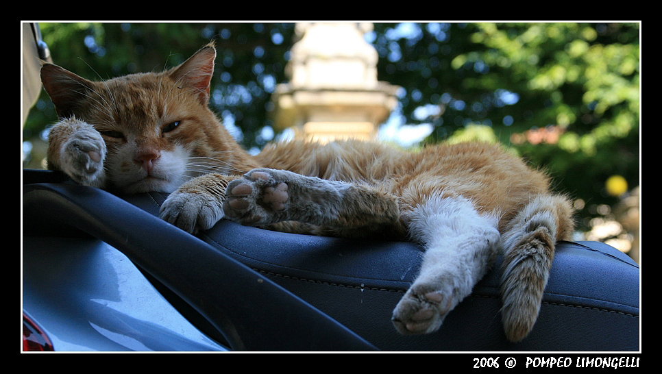 Non dormire quando si guida.....