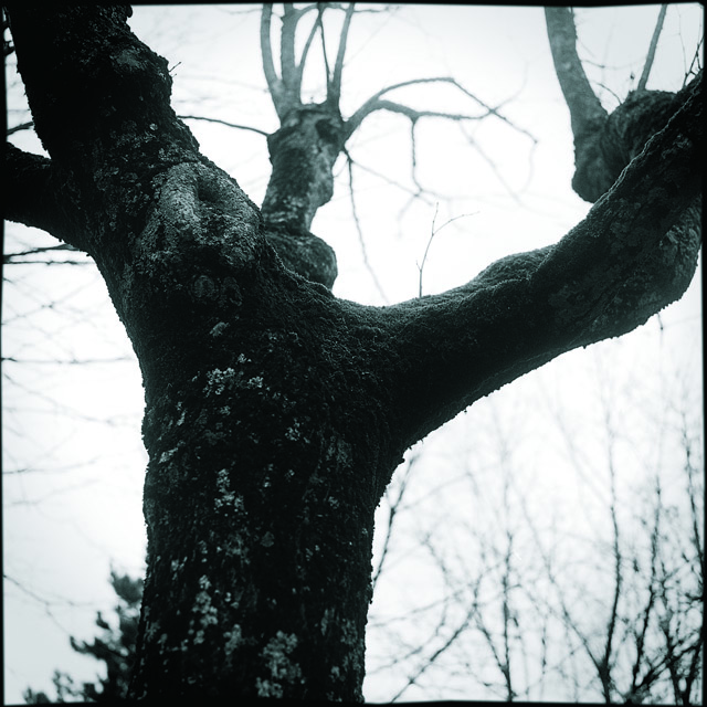 San Ginesio - Il Colle