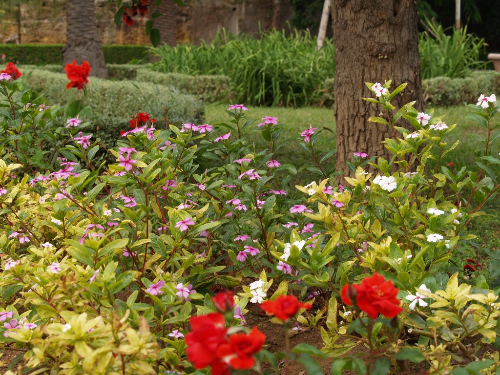 a spasso un sabato mattina a Palermo