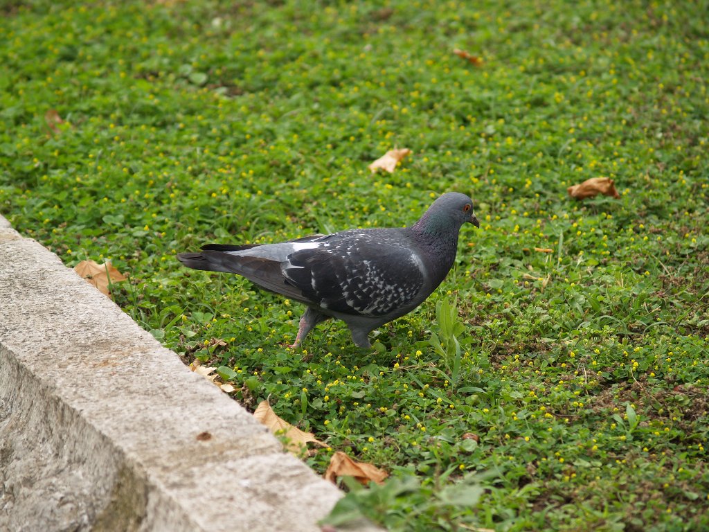 a spasso un sabato mattina a Palermo