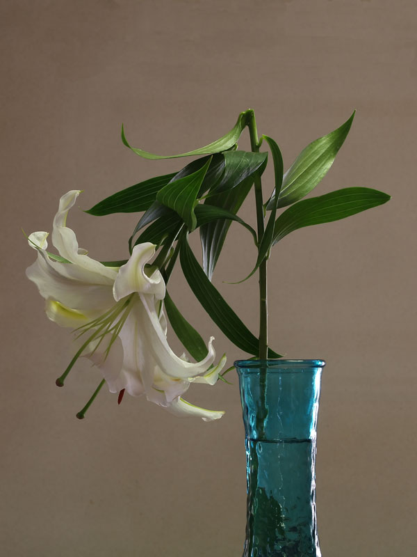 Contest Fragile foto n� 55