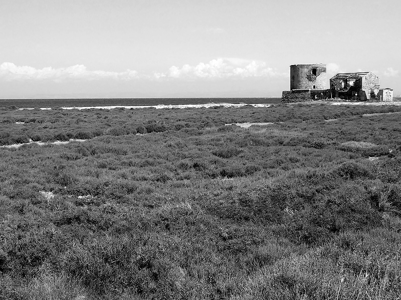 Stintino(SS): Le Saline/2