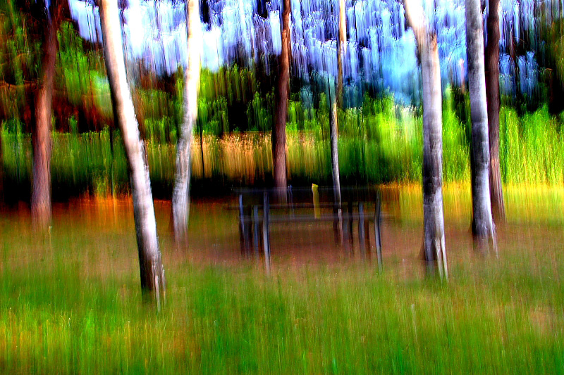 dipingere con la fotocamera