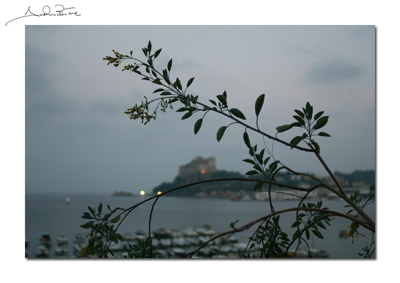 Quel ramo sul porto di Baia...