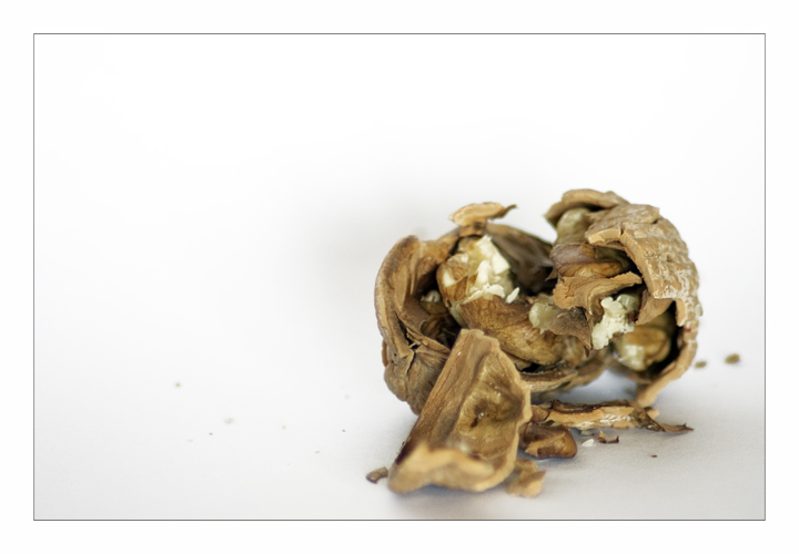 Contest fragile, scarto 1