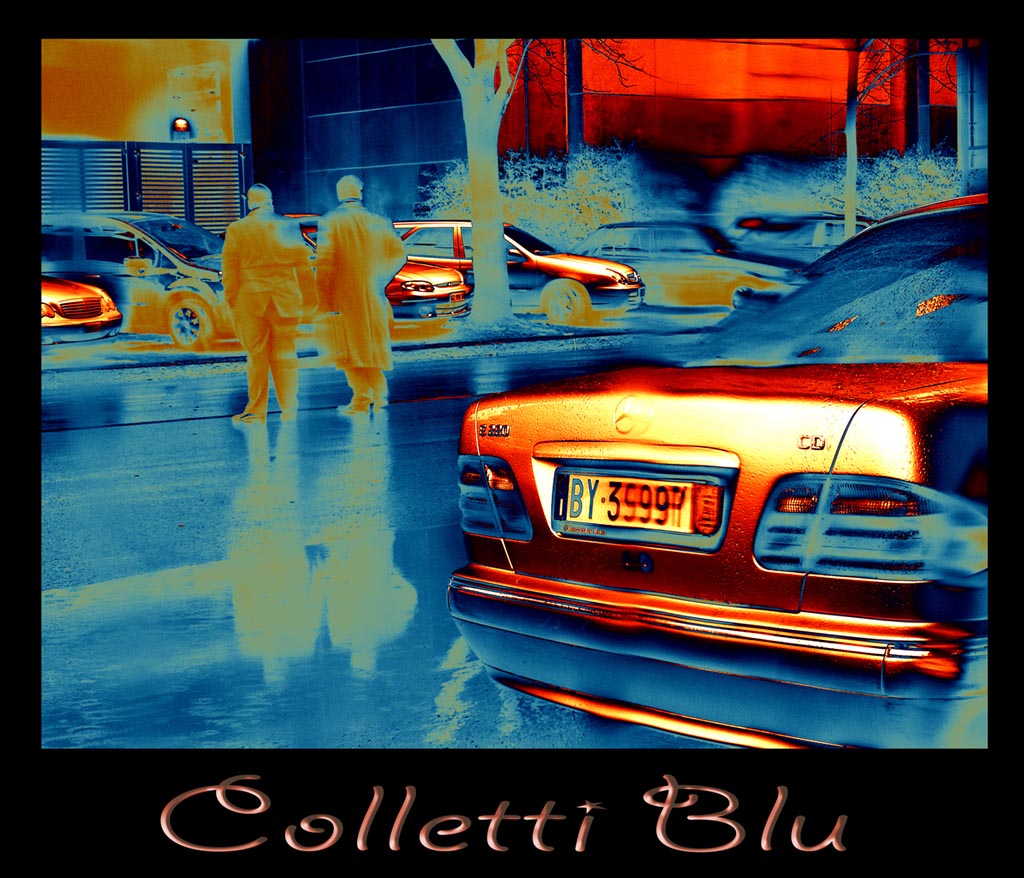 Colletti blu