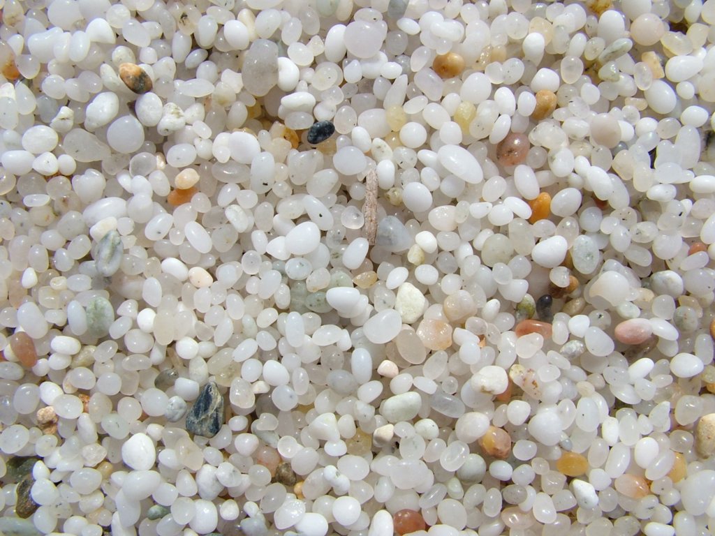 Macro spiaggia del Sinis (Su crastu biancu)