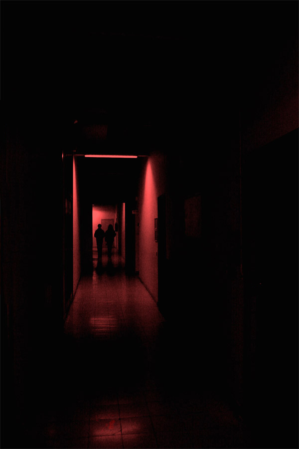 scream's echo of the...