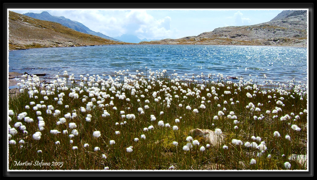 laghetto in alta quota