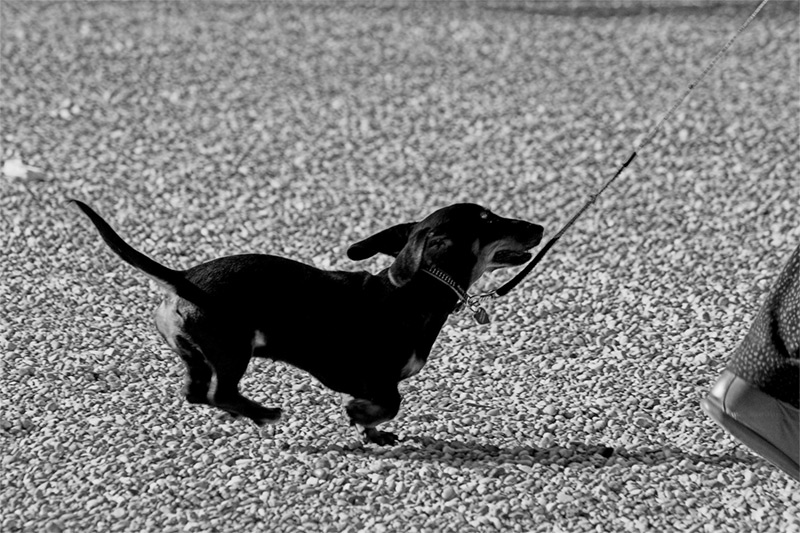 Aoooooooo che ti corri!!!!!!!