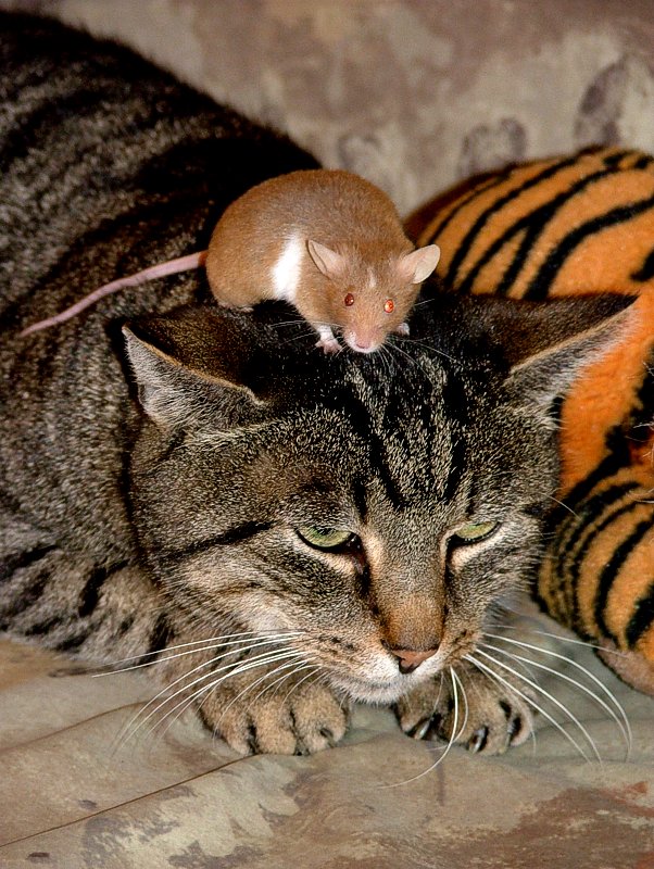 Amici per la pelle!!!