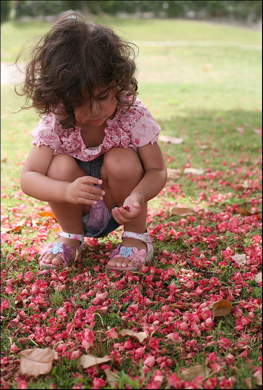 between the pink flowers