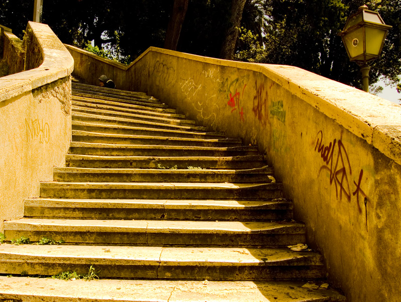 La vita � una scala