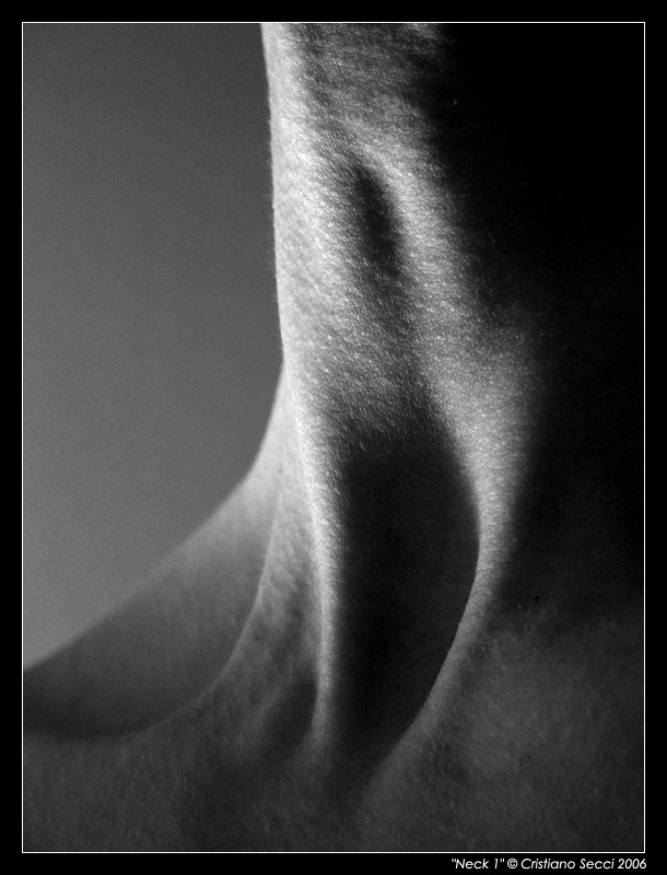Neck 1