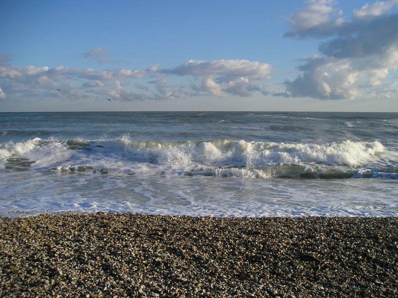 mare