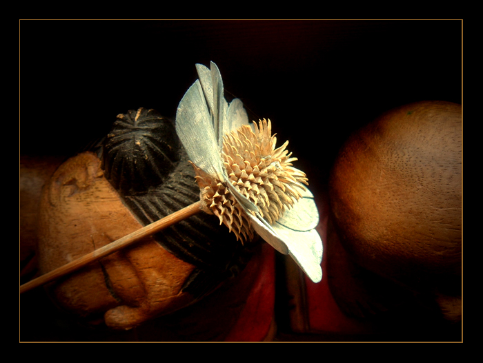 Two Twins and a Flower