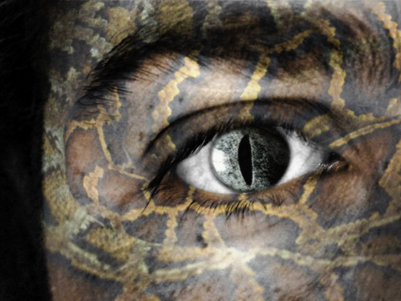 Processo Evolutivo Completato