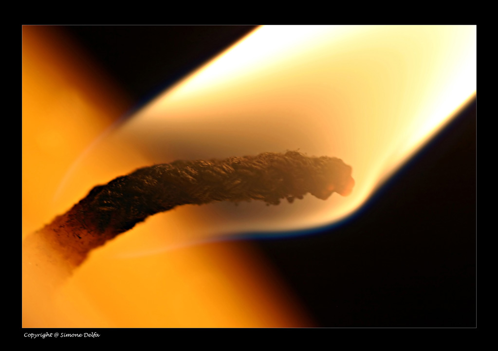 Brigthest Flames burn Quickest