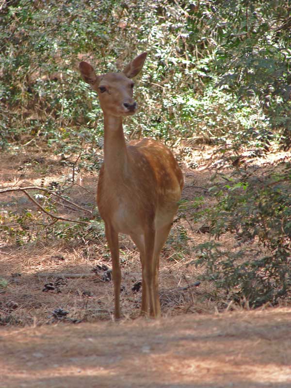 UN INCONTRO INASPETTATO