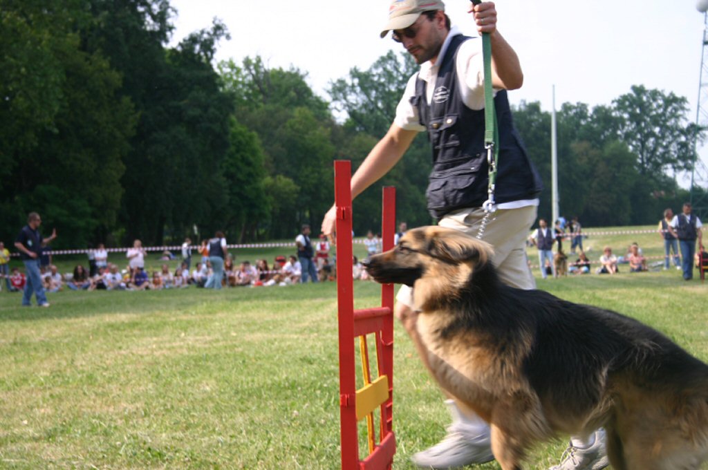 AMICI DA COMBATTIMENTO