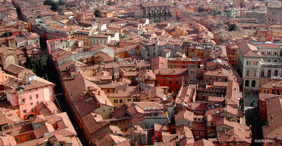 Ragnatela medioevale