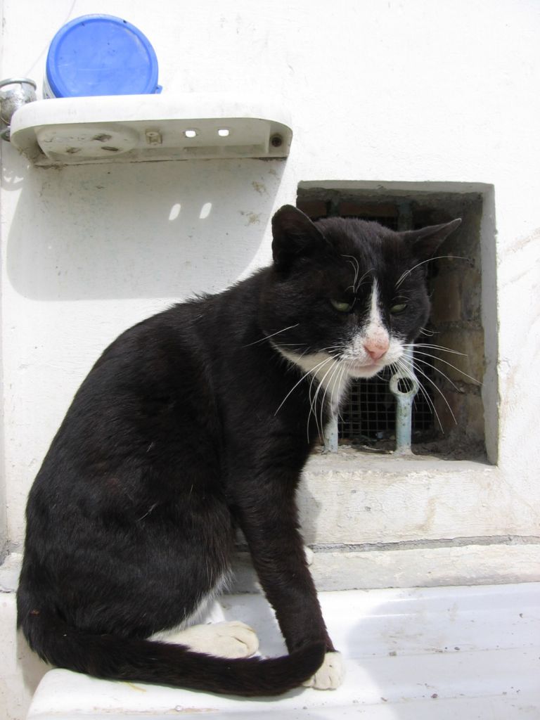 Occhio, mi gira storto!