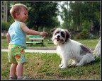 With dog With dog