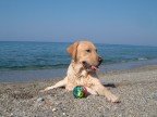 Scott al Mare Scott al Mare