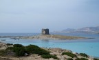 La torre della Pelosa, vista dalla spiaggia.
Sullo sfondo, l'isola Piana e poi l'Asinara.

Purtroppo, in 10 giorni di Sardegna, nn ho mai beccato una giornata di cielo limpido...