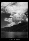 Black &amp; White