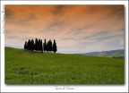 Siena Siena