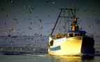 dopo la pesca dopo la pesca