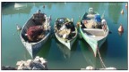 pesca_01 pesca_01