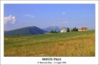 Monte Pale!
