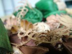 Macro e Pout Pourri 1 Macro e Pout Pourri 1