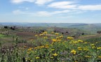 paesaggio siciliano paesaggio siciliano
