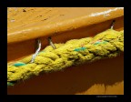 Giallo boat Giallo boat