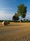 Campagna Campagna
