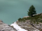 solitario solitario