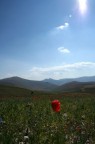 castelluccio di norcia