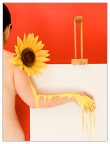 Contest giallo Contest giallo