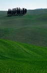 Ancora pioppi Ancora pioppi