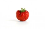 fragola fragola