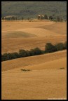 Toscana 2006 Toscana 2006