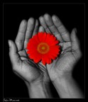 In her hands In her hands