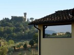 Riflessi di campagna. Riflessi di campagna.